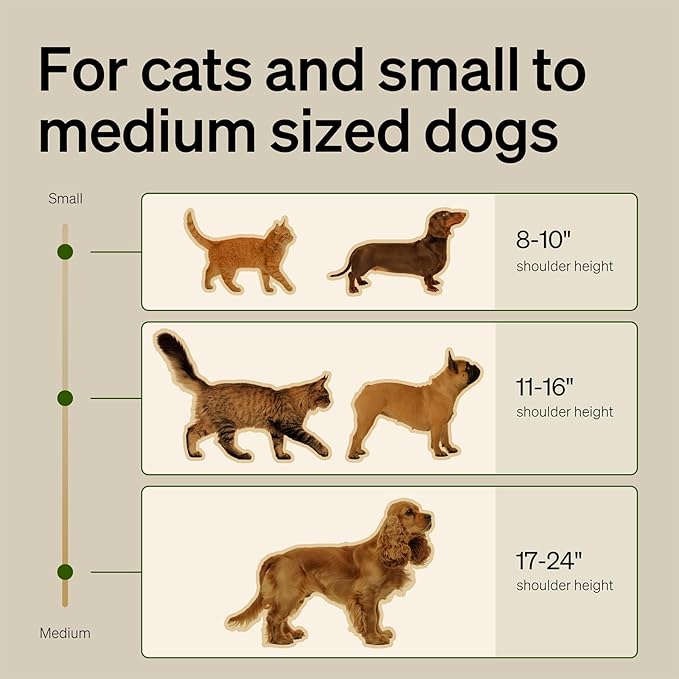 Bundle of PETLIBRO Automatic Cat Feeder with Camera, 1080P HD Video with Night Vision + PETLIBRO Slow Feeder Bowl for Small Dogs & Cats, 1.125 Cup— Anti-Gulp Stainless Steel Dog & Cat Bowl