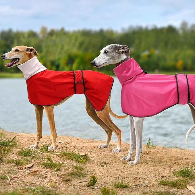 Dog Raincoat with Reflective Bar, Rain/Water Resistant, Adjustable Vest - Dog Raincoats for Greyhounds, Lurchers and Whippets - Red - M