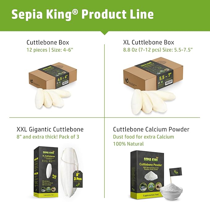 Large - 100% Natural Calcium Supplement - Premium Cuttlebone perfect for Birds, Tortoises, Snails, Reptiles - 5.5 to 7 inch