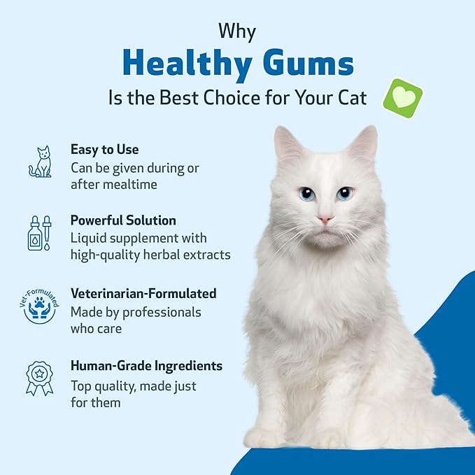 Pet Wellbeing Healthy Gums for Cats - Gums & Dental Health, Oral Care, Healthy Breath, Coenzyme Q10, Zinc Oxide, Calendula, Marshmallow Root - Veterinarian-Formulated Holistic Topical 4 oz (118 ml)