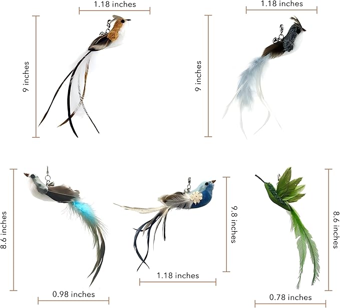 Deluxe Bird Replacement Heads for Cat Toys - Set of 5 - Realistic Feather Designs Including Blue Floral, Two-Tone, Traditional, Black & White, Green Hummingbird - Easy Clip-On