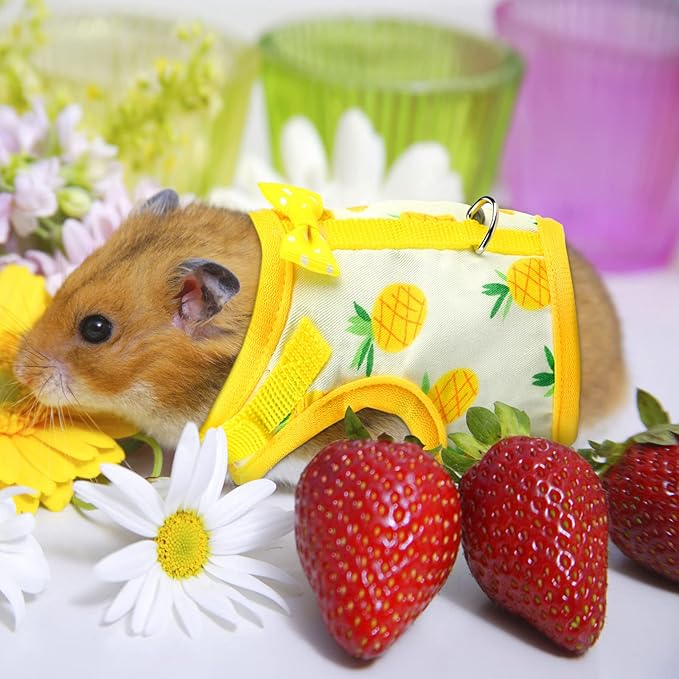 Weewooday 3 Pieces Guinea Pig Harness with Leash Small Pet Harness Fruit Plaid Pattern Adjustable Padded Walking Vest for Pet Hamster Squirrel Animals(Pineapple, Red Plaid, Strawberry,Small)