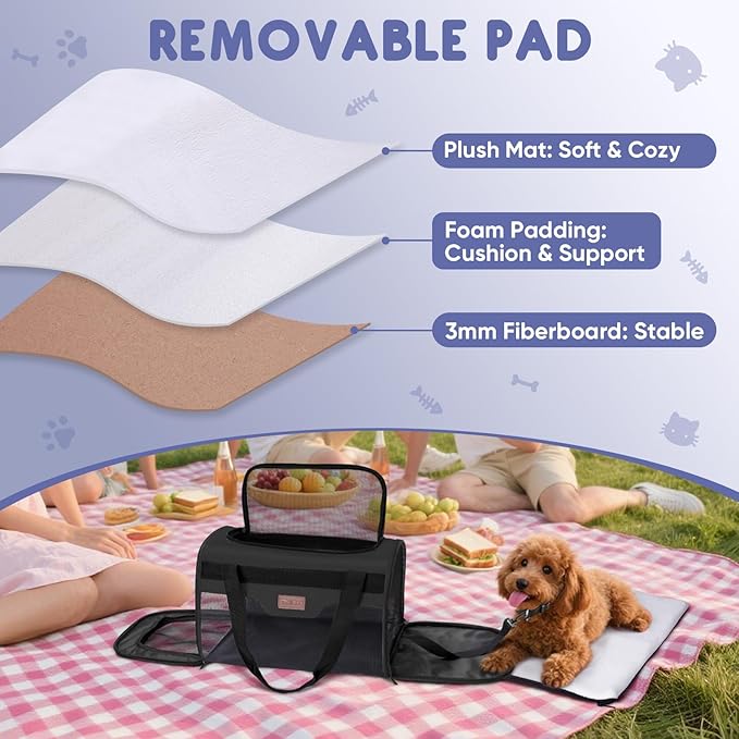 BALEINE Cat Carrier, Puppy Dog Carrier for Small Medium Pets Up to 15 Lbs, Soft-Sided Dog Travel Bag with Safety Zippers, Collapsible Pet Carrying Case (Black, L, 17"x11"x11")