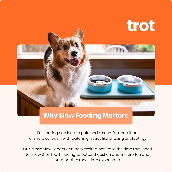 Trot Pets Premium Dog Bowls | Stainless Steel Bowl Set for Small, Medium, or Large Dogs | Non-Slip Food and & Water Slow Feeder | Durable, BPA-Free, Anti-Skid, Dishwasher Safe (Sky, Small)