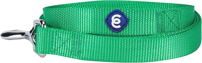 Blueberry Pet Essentials Emerald Dog Leash for Medium - 5' * 3/4" Dogs | Heavy Duty Nylon Lead | Lightweight Puppy & Cat Leash for Walking & Training