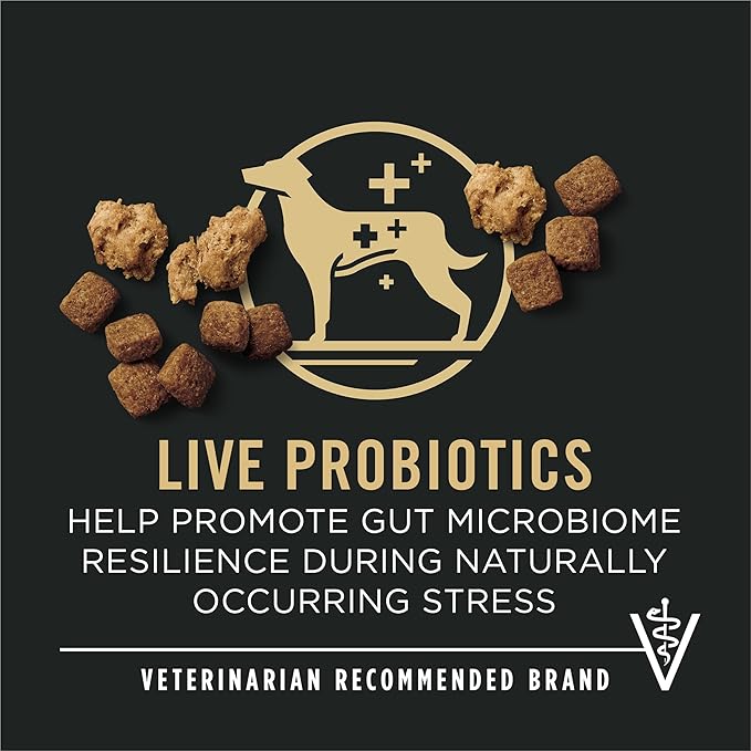 Purina Pro Plan Senior Dog Food With Probiotics for Dogs, Shredded Blend Chicken & Rice Formula - 6 lb. Bag