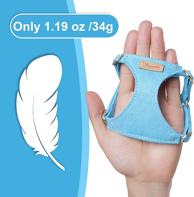 Puppytie No Pull xs Dog Harness with Multifunction Dog Leash,Soft Adjustable No Choke Escape Proof Pet Harness Vest,Ocean Blue,XS