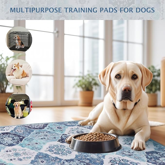 IEUUMLER Washable Pee Pads for Dogs, 2 Pack Reusable Non-Slip Grip, Super Absorbent Waterproof Puppy Pads for Potty Training, Playpen, Crate, Whelping Box EU011 (Blue, 36" x 24")