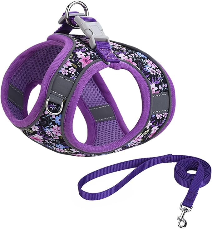 Step in Dog Harness No Pull Flower Adjustable Soft Mesh Padded Reflective Pet Vest Harness and Leash Set for Small Medium Dogs