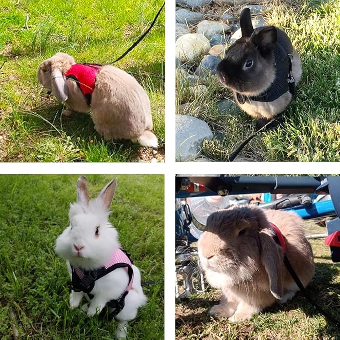 PETTOM Bunny Rabbit Harness with Stretchy Leash Cute Adjustable Buckle Breathable Mesh Vest Harness and Leash Set for Kitten Small Pets Holland Lop Bunnies Walking (Pink,S)
