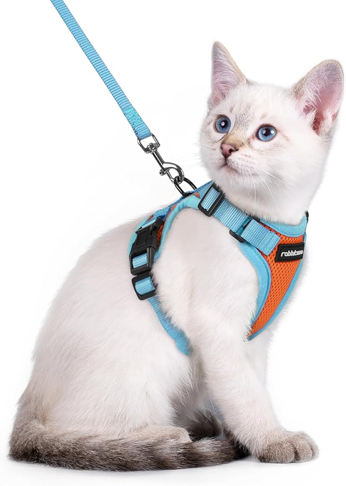 rabbitgoo Cat Harness and Leash Set, Escape Proof Soft Adjustable Vest Harnesses for Outdoor Walking, Easy Control Breathable Kitten Jacket with Reflective Strips, Orange & Light Blue, XXS
