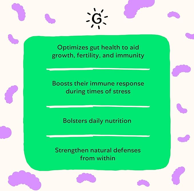 Grubbly Farms Prebiotics + Probiotics for Chickens (30 Day)