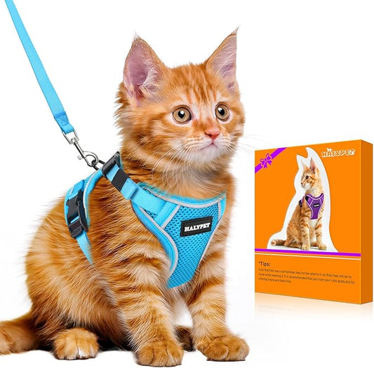 Halypet Cat Harness and Leash Set [MAX Safety 4th-Gen Upgrade] Escape Proof Adjustable Cat Leash Comfortable Soft Vest Easy to Wear Kitten Harness with Reflective Strip for Cats Walking, M SkyBlue
