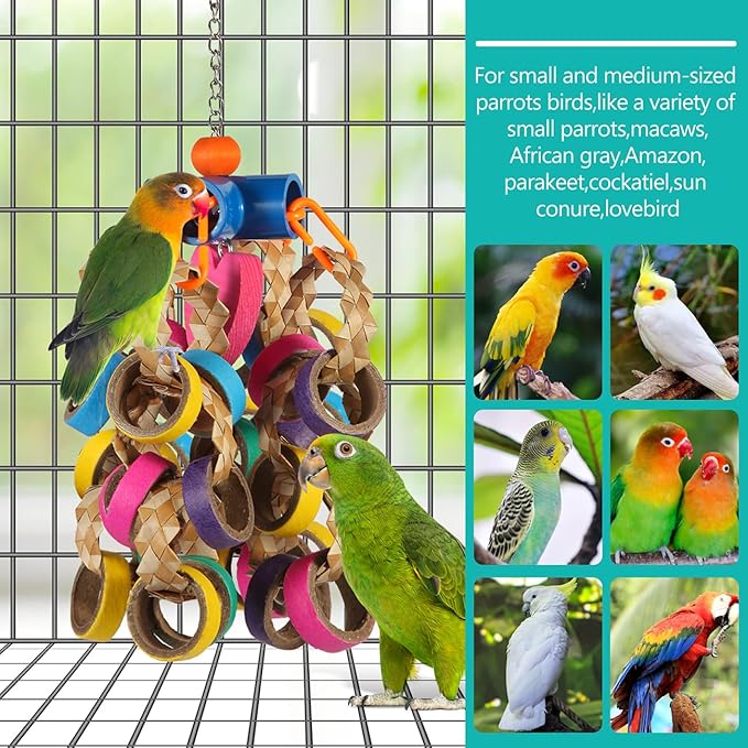 lovyoCoCo Bird Toys Conure Toys,Bird Parrot Foraging Shredder 24 Pcs Colorful Bagel Chewy Rings for Small Parrots Parakeets Conures Cockatiels Love Bird Cage Accessies (B)