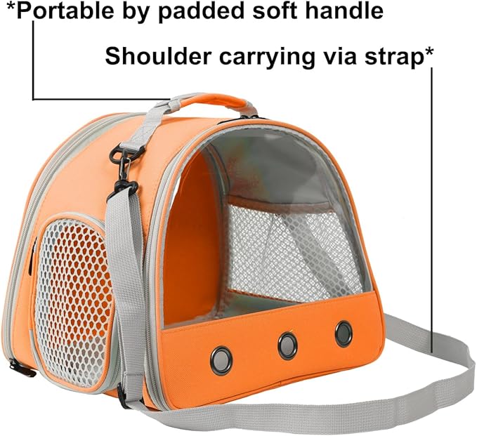 Guinea Pig Carrier,Guinea Pig Carrier for 2,Reptile Travel Carrier for Lizards Sugar Glider Hedgehog Rat Parrot Birds