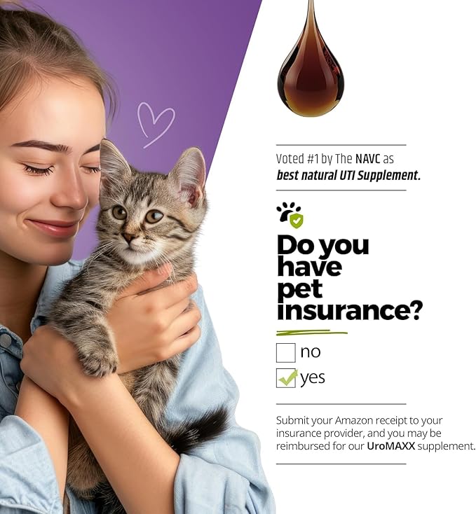 Cat & Dog Urinary Tract Treatment, Bladder & Kidney Support for Dogs and Cats, Powerful Yet Gentle Pet Care, with Liquid Cranberry & Glucosamine, Salmon Flavor, 6 oz Bottle, 1 Pack