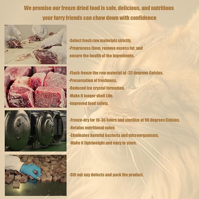 Freeze Dried Cat Treats - 100% Salmon Grain Free Raw - Natural Balance Limited Ingredient High Protein Cat Snacks 115g/4.1oz - Picky Eater Challenger