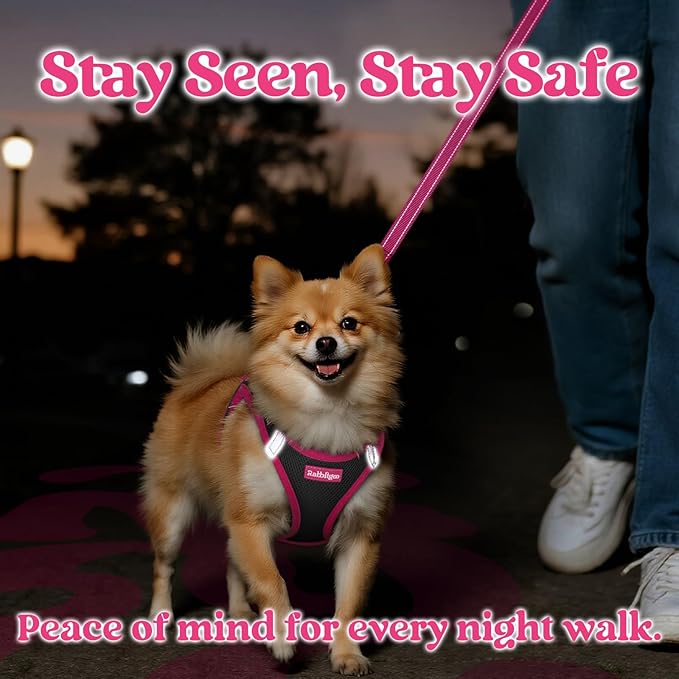 rabbitgoo Dog Harness Small Sized and Leash Set, Step-in Breathable Pet Harness, Soft Walking Reflective Puppy Vest for Small Dogs, Black & Rose Red, XXS