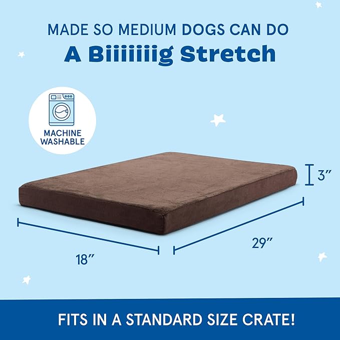 Barkbox Orthopedic Dog Bed with Memory Foam, Premium Comfort for Dogs and Puppies, Dog Bed for Joint Relief and Restful Sleep, Durable and Easy to Clean - Espresso, Medium