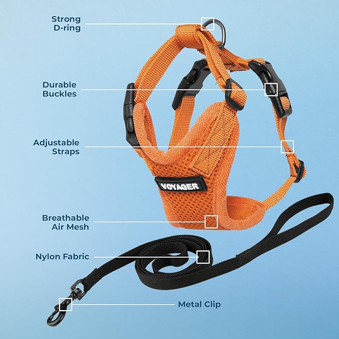 Voyager Step-in Lock Adjustable Cat Harness w. Cat Leash Combo Set with Neoprene Handle 5ft - Supports Small, Medium and Large Breed Cats by Best Pet Supplies - Orange, XXS