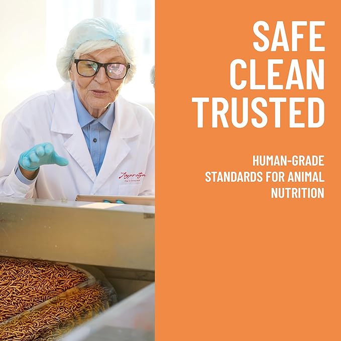 2LB Dried Black Soldier Fly Larvae for Chicken– 85X More Calcium Grubs Than Mealworms for Strong Eggshells & Healthy Growth - High Proteinfor Chickens, Birds, Ducks, Geese & Pets