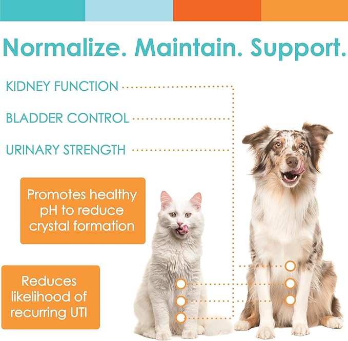 UTRIN - Urinary Support for Cats & Dogs - Dual-Action Cranberry & D-Mannose - for Natural Bladder Health, Incontinence, and Recurring UTI, 60 Servings