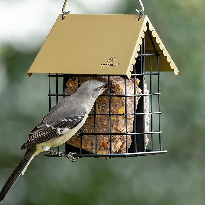 Kingsyard Double Suet Bird Feeder with Weatherproof Roof & Perch, All Metal, Suet Cakes Cage Bird Feeder for Outdoors Hanging, Easy to Clean & Refill, Brown