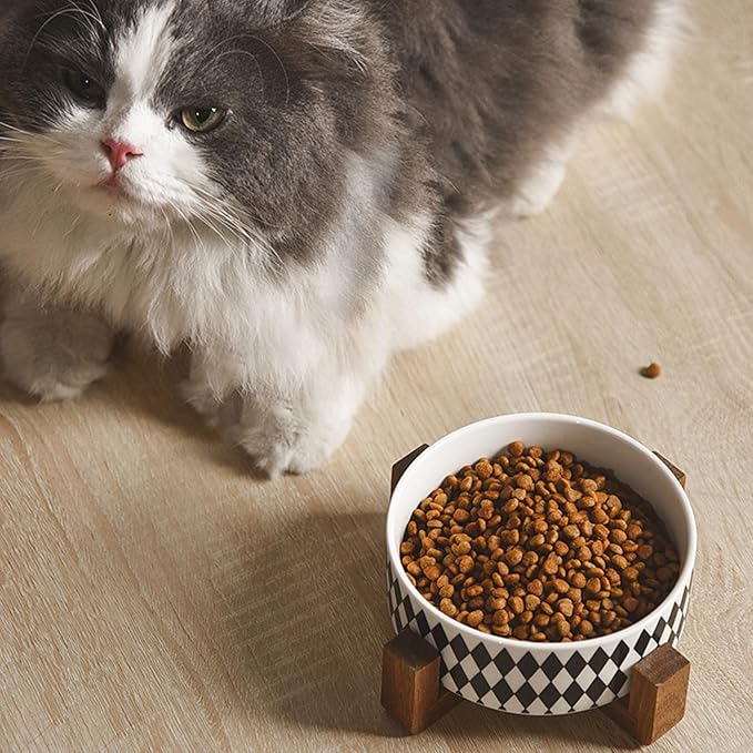 Petygooing Ceramic Dog Cat Bowl Set with Stand,Pet Food and Water Bowl,Small Dog Bowls Anti -Slip Set of 2 Cat Dishes Food Bowls Dish Small Size Pet (13.5OZ/5.1 in) Black Rhombus