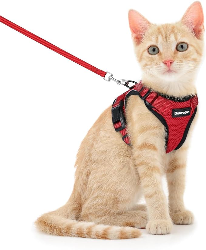 Dooradar Cat Harness and Leash Set, Escape Proof Safe Adjustable Kitten Vest Harnesses for Walking, Easy Control Soft Breathable Mesh Jacket with Reflective Strips for Cats, Red, S