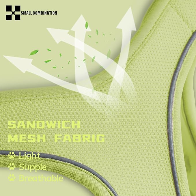 Adjustable Dog Harness with Leash, Reflective Mesh, No-Pull Design，Matching Lead Rope (Lemon Yellow, XXXS)