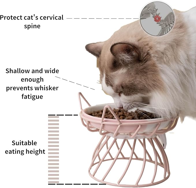 Elevated Cat Bowls with Non-Slip Metal Stand - Raised Food and Water Bowls, Fits Cats & Small Dogs - Dishwasher Safe