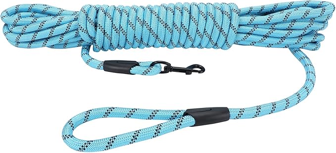 Long Dog Leash for Training 15Ft-Reflective Nylon Rope with Swivel Hook-Recall Agility Lead for Large Small Medium Dogs Outside Walking Hiking-Sky Blue Diam 1/2"