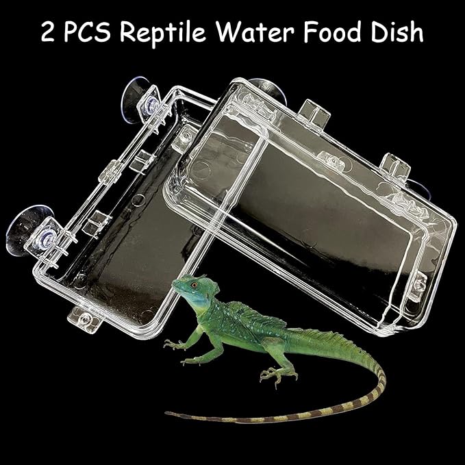 Tfwadmx 2 Pcs Chameleon Bowl, Reptile Feeding Food, Water Dish Gecko Worm Feeder Anti-Escape Hanging Chameleon Supplies Accessories for Lizard Bearded Dragon Snakes