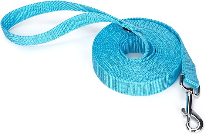 Strong Durable Nylon Dog Training Leash, 1 Inch Wide Traction Rope, 6 ft 10ft 15ft Long, for Small and Medium Dog (Mint Blue, 15 Feet)
