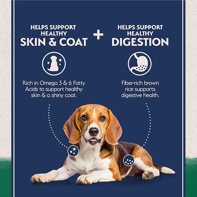 Natural Balance Limited Ingredient Adult Dry Dog Food with Healthy Grains, Lamb & Brown Rice Recipe, 12 Pound (Pack of 1)