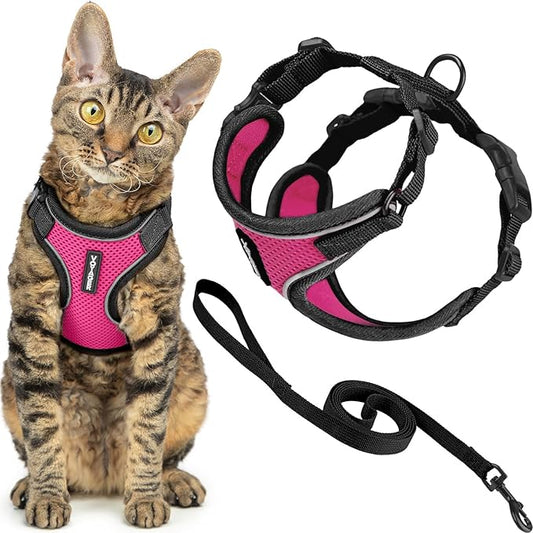 Voyager Escape Proof Cat Harness and Leash Set with Reflective Stitching, Neoprene Handle 5ft - Supports Small, Medium and Large Cats, Kittens for Walking by Best Pet Supplies - BT-Fuchsia, XXS
