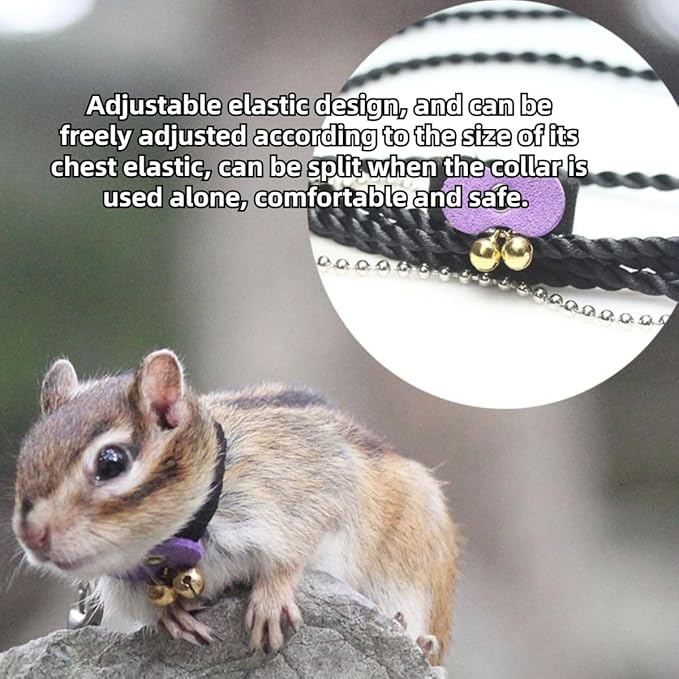 Squirrel Chipmunk Traction Rope Strap Anti-Biting Chain Rope, Small Animal Walking Collar Harness with Lead Leash for Hamster Gerbil Rat Mouse Ferret Chinchilla (Blue)