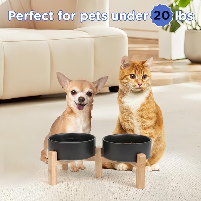 SPUNKYJUNKY Elevated Dog Bowls Ceramic, 5.1'' Dogs and Cat Food Water Bowls Raised with Non-Slip Bamboo Stand for Puppy Small Sized Breed Microwave Dishwasher Safe - 13.5 OZ,Black