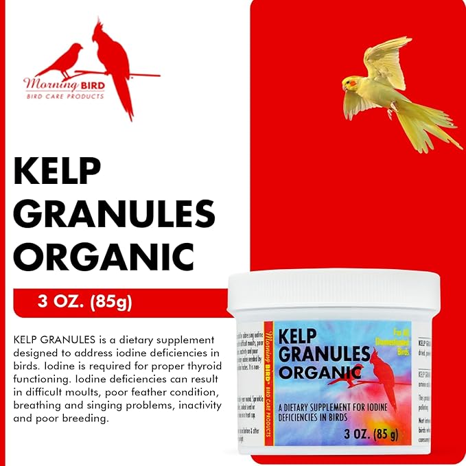 Morning Bird Kelp Granules 3 Oz – Iodine Supplement for Birds – Supports Feather Growth, Molting & Metabolism – Rich in Amino Acids, Trace Minerals & Natural Vitamins – Clean Nutrition for All Birds