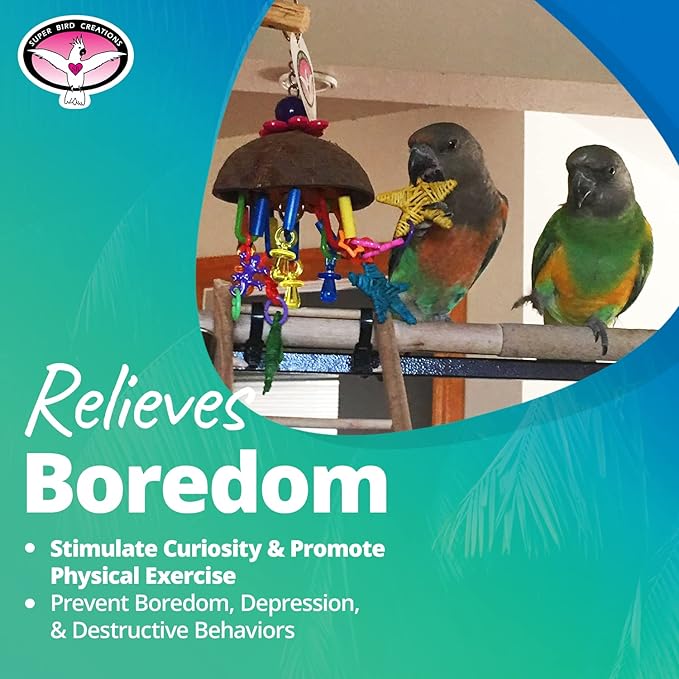 Super Bird Creations SB896 Seeing Stars Bird Toy - Interactive Foraging Toy, Ideal for Parrotlets, Parakeets, Cockatiels, Stimulates Mental and Physical Activity - Small/Medium Bird Size, 9.5" x 3.5"