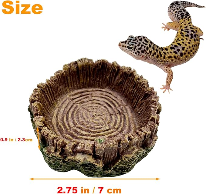 3 Pack Small Reptile Food Bowls, Reptile Feeding Terrarium Bowls for Bearded Dragon Lizard Frog Gecko Tortoise Hermit Crab Snail (Brown)