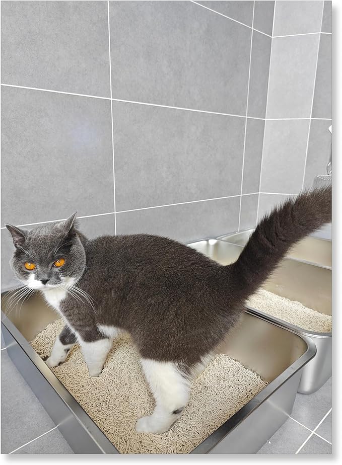 IKITCHEN Stainless Steel Cat Litter Box, Small Metal Cat Litter Box, Deep Litter Pan for Cats Kittens, Easy to Clean Odor Control Durable Nonstick Smooth Surface 17.5 in x 13.5 in x 6 inches