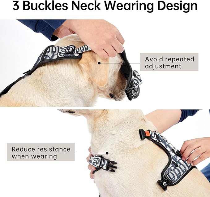 IVY&LANE No Pull Dog Harness with Leash Set, Reflective No Choke Pet Vest,Adjustable Oxford Dog Vest Harness with Easy Control Handle for Medium Dogs (Vintage Blue,M)
