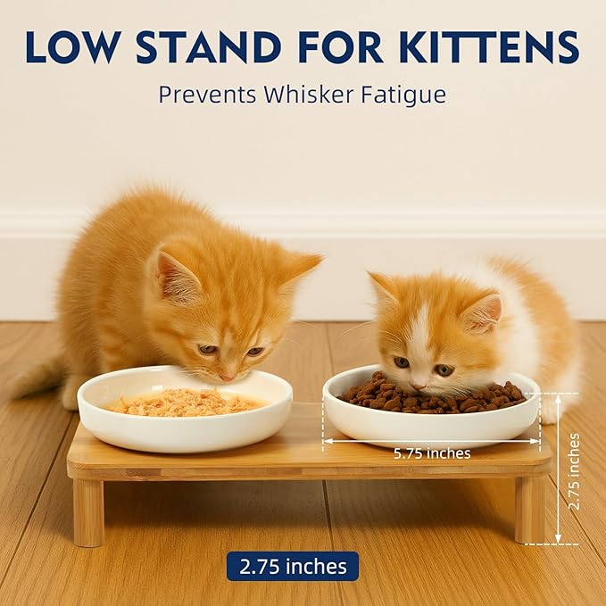 Elevated Cat Bowls for Indoor Cats – Raised Bamboo Cat Food Table with 2 Ceramic Dishes, Adjustable Height (4.25"/3.07"), Whisker Friendly Feeding Station