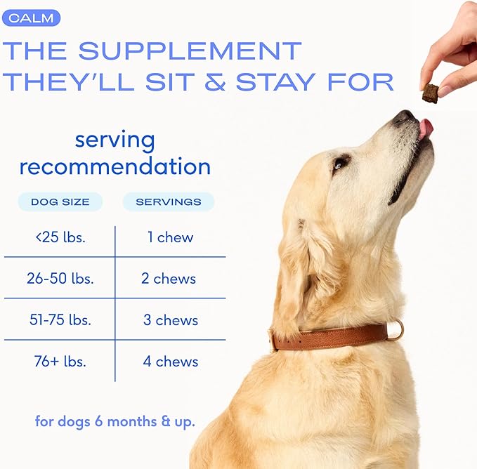 Native Pet Calming Chews for Dogs - Melatonin for Dogs Anxiety Relief - Grain Free All Natural Hemp Calming Treats & L-Theanine Helps Manage Stress & Separation Anxiety - Puppy Sleep Aid - 120 Chews