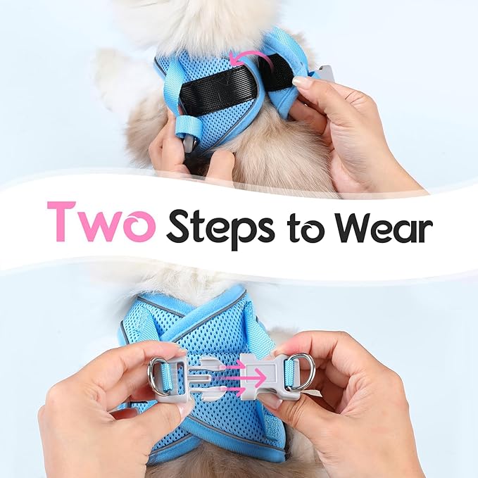 Dooradar Cat Harness and Leash Set, Escape Proof Lightweight Kitten Harness, Soft Breathable Reflective Vest for Outdoor Walking Traveling, Adjustable for Small Cats, Pink & Blue, S