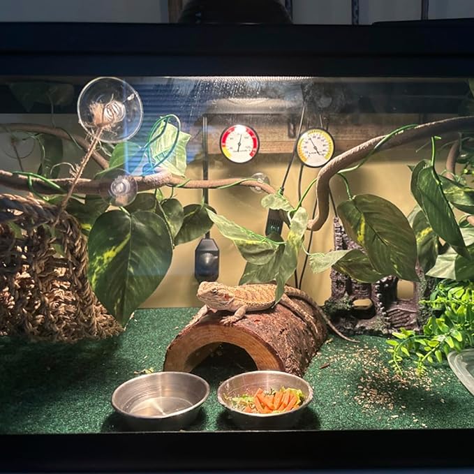 5 PCS Tank Accessories for Bearded Dragon Include Resin Classical Castle Reptile Climb Habitat Decor Hanging Jungle Vines Flexible Leaves Climbing Decor for Lizard Gecko Chameleon Spider