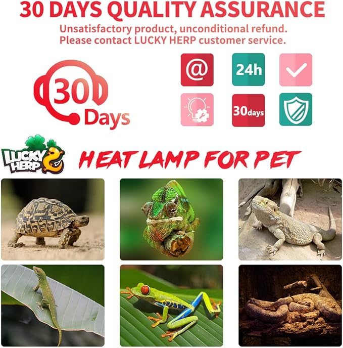 LUCKY HERP 75W Reptile Heat Lamp Bulbs 2 Pack, Reptiles & Amphibians Infrared Basking Spot Lamp, Heat Light Bulb for Turtle, Bearded Dragon, Lizard