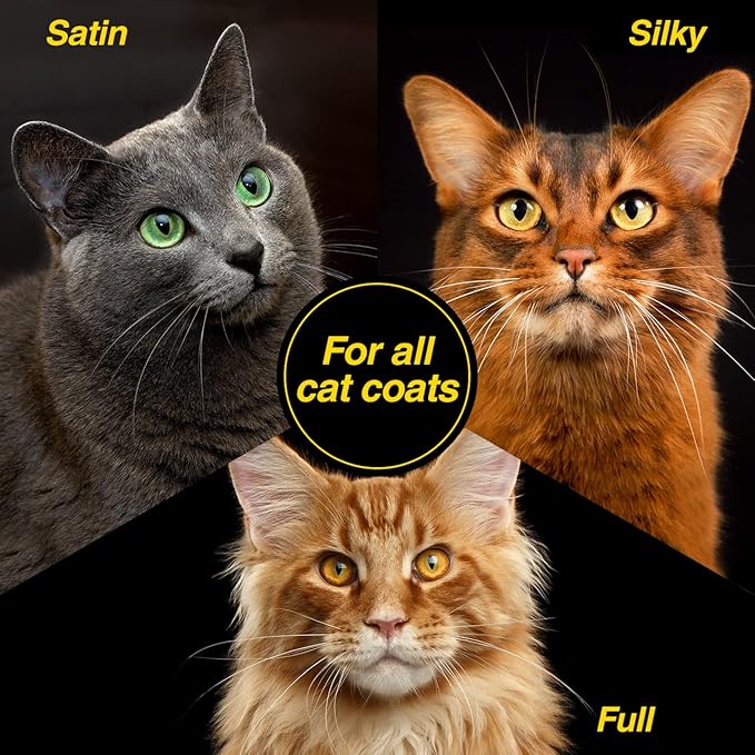 Chris Christensen Top Cat Shine Shampoo for Cats, Groom Like a Professional, Restores Dry & Brittle Coat, Creates a Gorgeous Shine, Made in USA, 32 oz