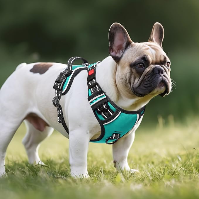 Timos No Pull Dog Harness,NO Need Go Over Dogs Head 3 Snap Buckles Reflective Oxford No Choke Puppy Harness with Front & Back 2 Metal Leash Clips Soft Padded Vest Harnesses for Small Medium Large Dogs
